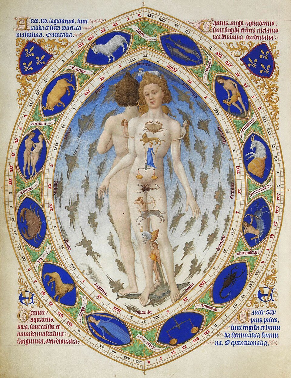Medieval medicine and astrology: the Anatomical Man from the Très Riches Heures, linking each part of the body to a sign of the zodiac