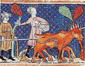 A medieval serf ploughing a field with a team of oxen, in a 13th-century manuscript