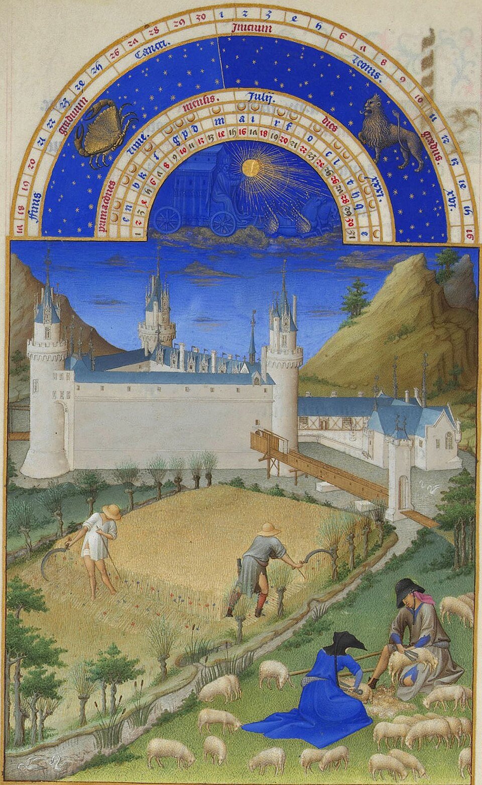 Workers shearing sheep and harvesting wheat, from the July page of the Très Riches Heures