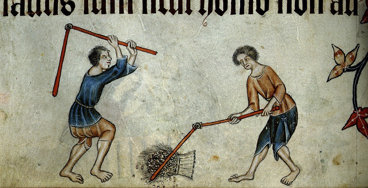Two men threshing a sheaf of grain in the 14th-century Luttrell Psalter