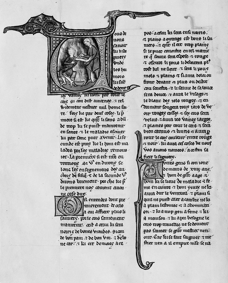 A patient having blood drawn from the arm into a bowl, in a page from Aldobrandino of Siena's health guide Le Régime du corps